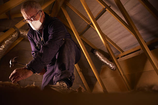 Best Commercial Insulation in Holyoke, CO